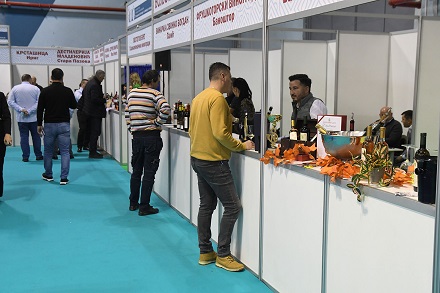 ST 2024 Vinska kuca 440