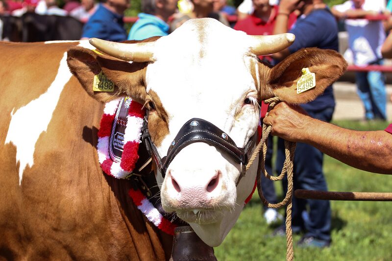 Ministarstvo poljoprivrede na Poljoprivrednom sajmu