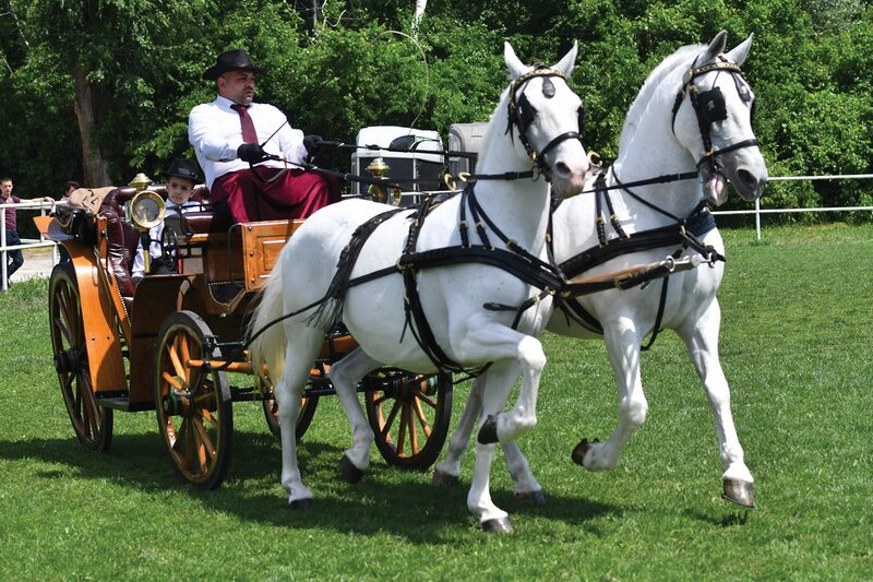 DVOPREZI PRODEFILOVALI MANJEŽOM - Tradicija se vraća na velika vrata