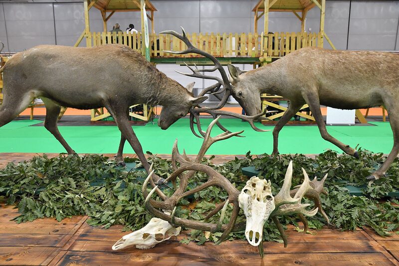 Sajam lova i ribolova i Sajam ekologije u slici