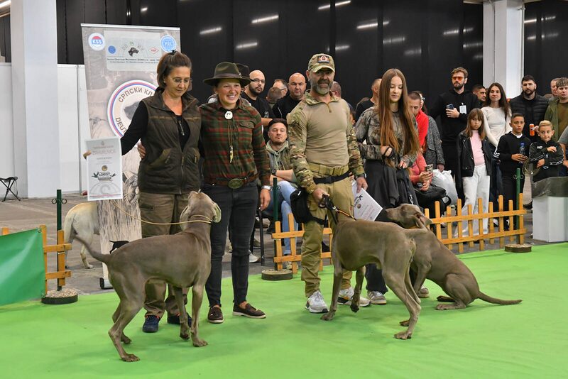 Revija lovačkih pasa